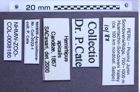 Etiketten zu Hemirhipus apicalis (NHMW-ZOO-COL-0008180)